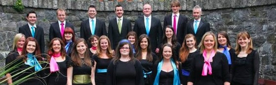New Dublin Voices