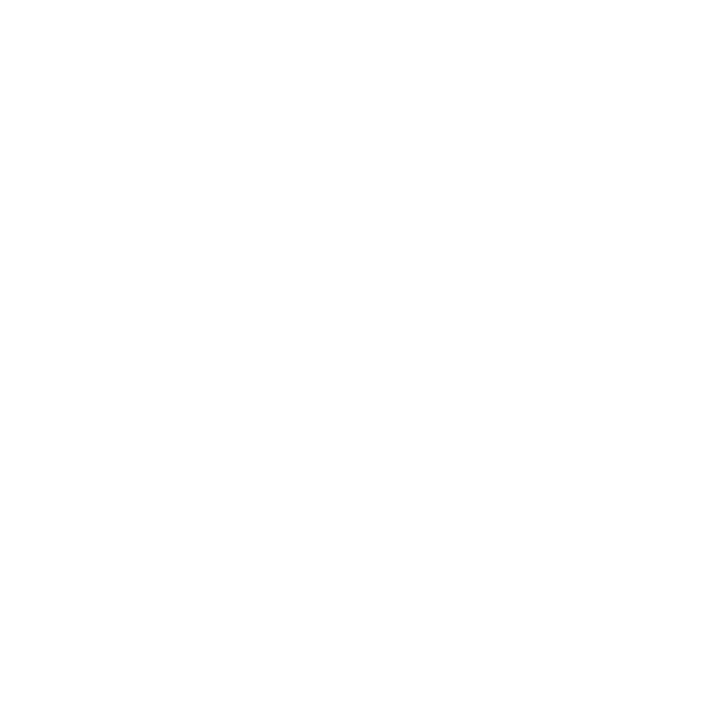 Arts Council of Northern Ireland footer 