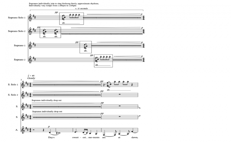 Section of 'Liminal Dawn' music score.