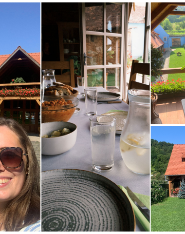 Collage of photos of Copsa Mare House, Biertan.