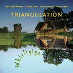 Triangulation cover