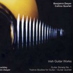 Irish Guitar Works cover